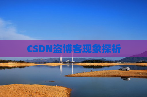 CSDN盗博客现象探析